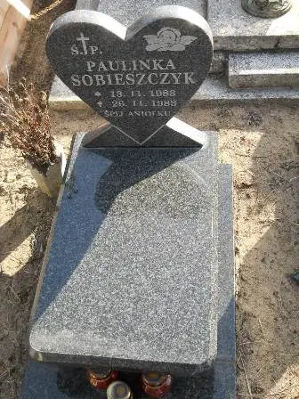 Zdjęcie grobu 100/100