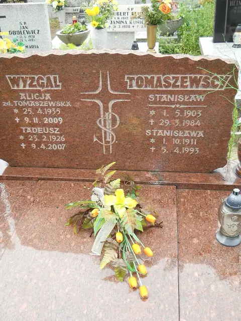 Zdjęcie grobu 24/23287