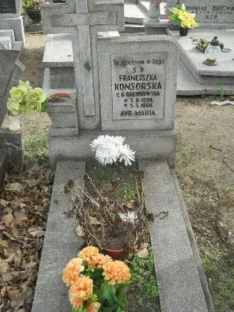 Zdjęcie grobu 9/18