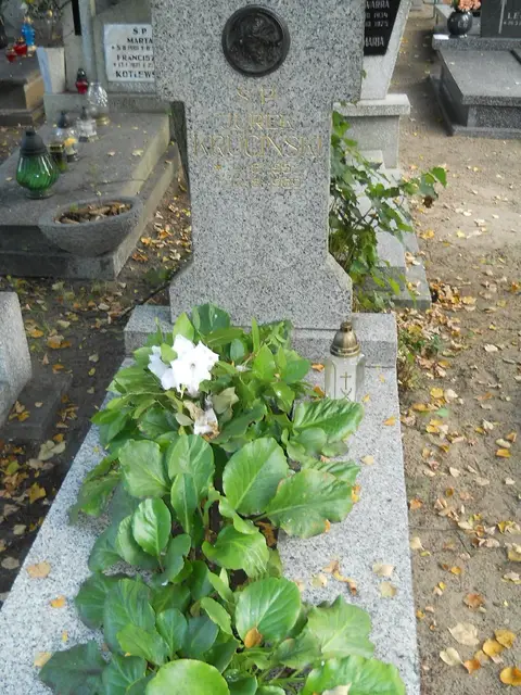 Zdjęcie grobu 14/26893