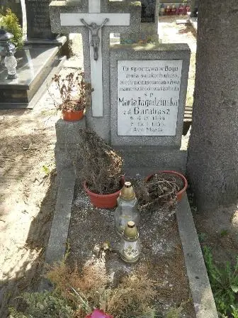 Zdjęcie grobu 27/100
