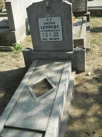 Zdjęcie grobu 29/115a