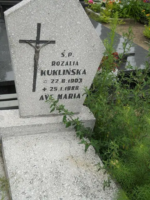 Zdjęcie grobu 27/23144