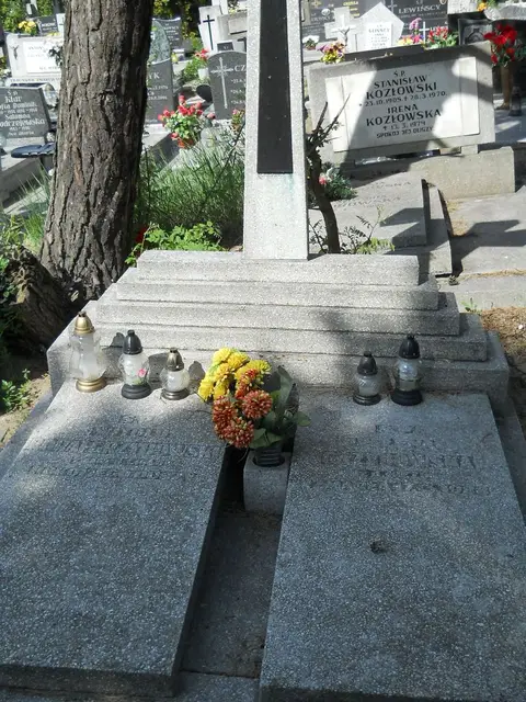 Zdjęcie grobu 7/11336