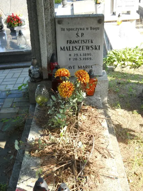 Zdjęcie grobu A/24988