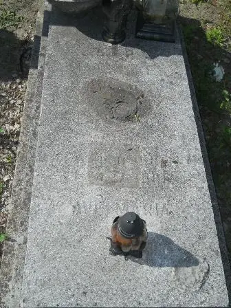 Zdjęcie grobu 24/290