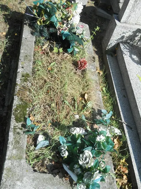 Zdjęcie grobu 18/28183