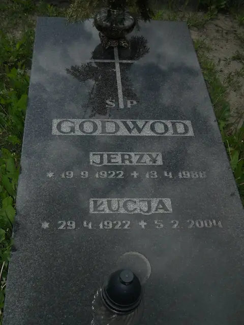 Zdjęcie grobu 7/11460