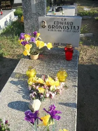 Zdjęcie grobu 45/65