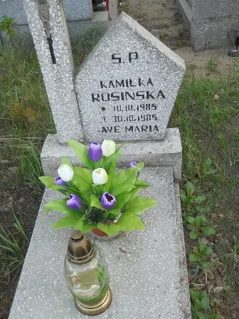Zdjęcie grobu 7b/100