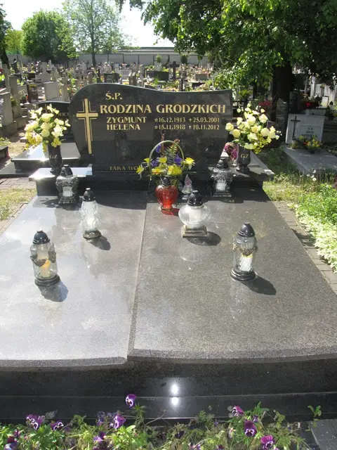 Zdjęcie grobu 9/24401