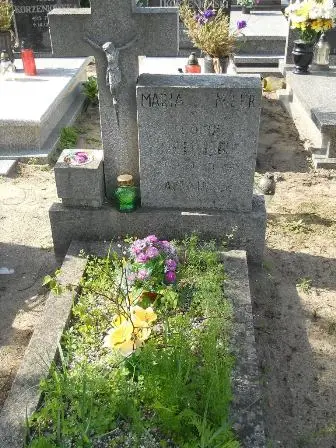 Zdjęcie grobu 20/166