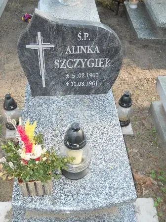 Zdjęcie grobu 7b/100