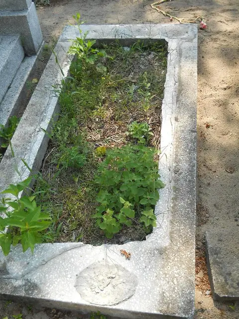 Zdjęcie grobu 14/27371