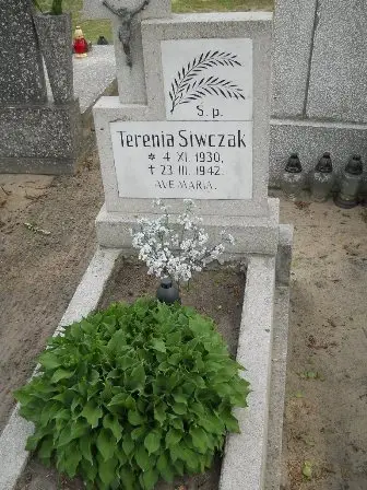 Zdjęcie grobu 22/100
