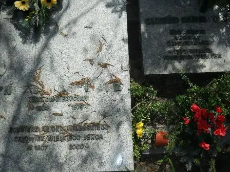 Zdjęcie grobu 28/218,218a