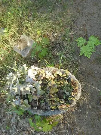 Zdjęcie grobu 32/100