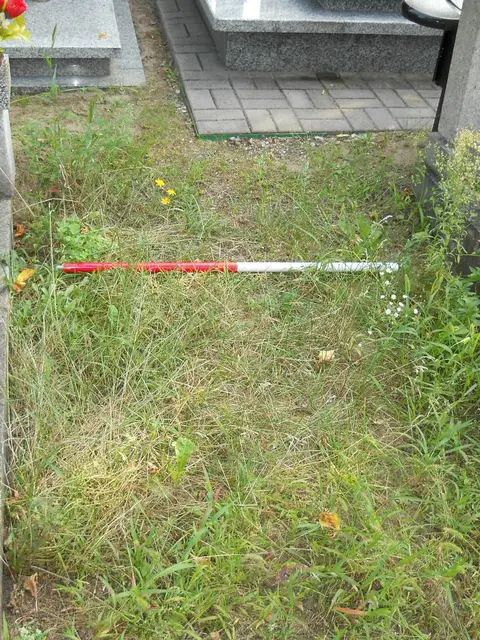 Zdjęcie grobu 15/26623