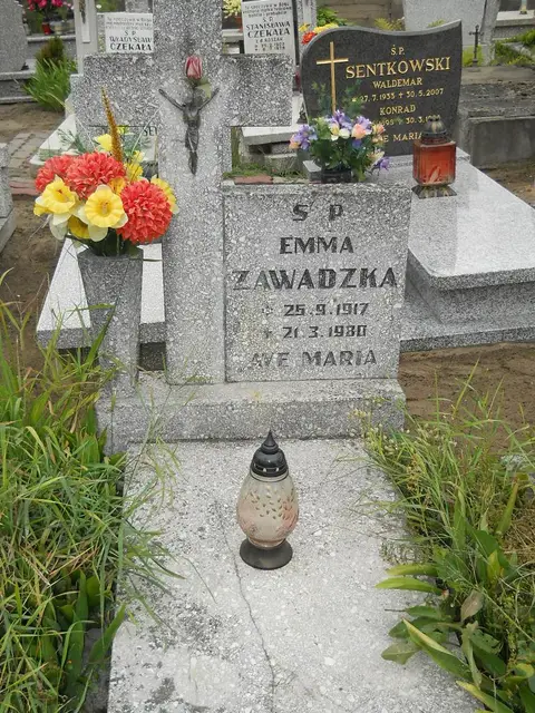 Zdjęcie grobu 5/22393