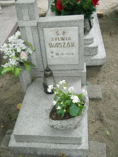 Zdjęcie grobu 13/29651