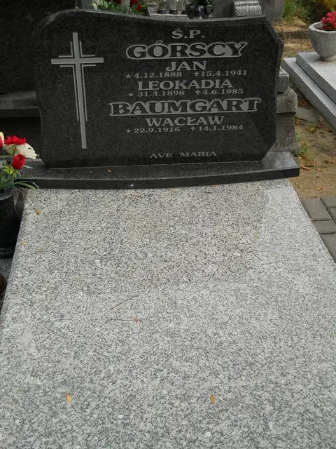 Zdjęcie grobu 14/27008