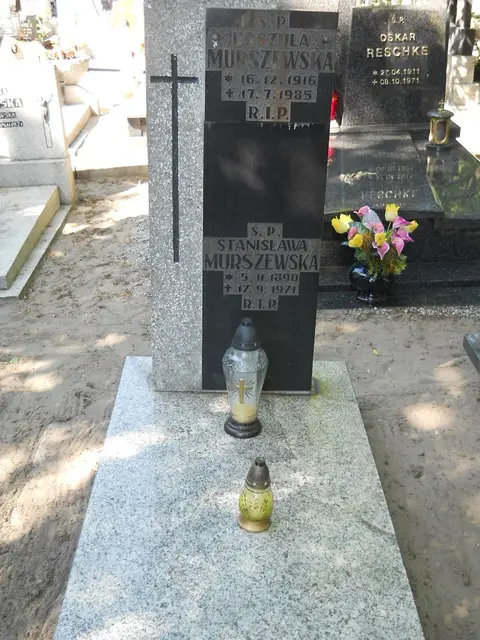 Zdjęcie grobu 8A/10335