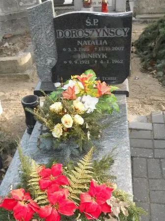 Zdjęcie grobu 10/100