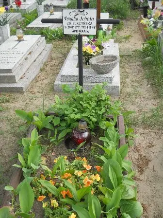 Zdjęcie grobu 22/149