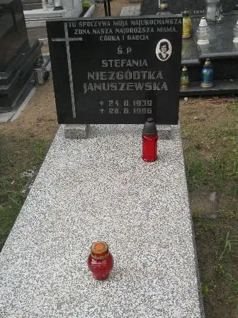 Zdjęcie grobu 38/100