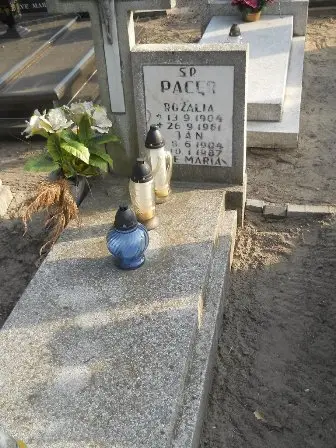 Zdjęcie grobu 10/100