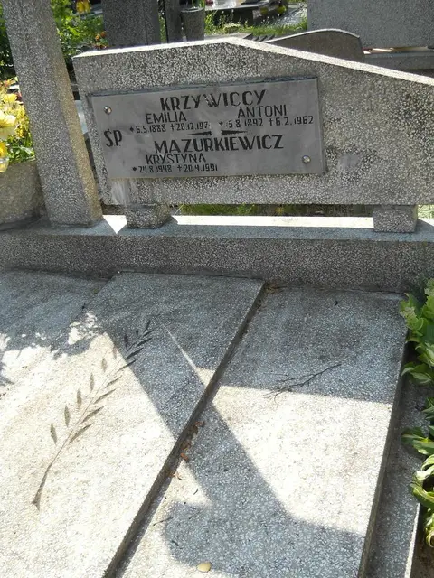 Zdjęcie grobu 17/28168