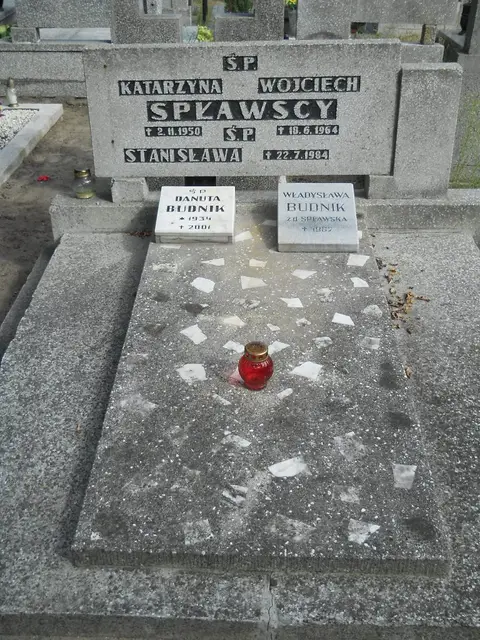 Zdjęcie grobu 11/29307
