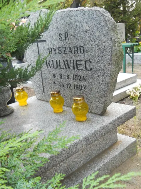 Zdjęcie grobu 13/29010