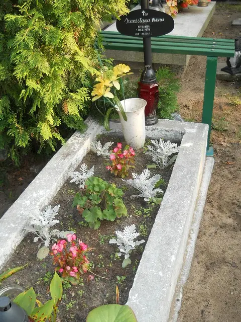 Zdjęcie grobu 15/26780