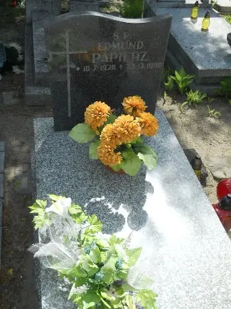 Zdjęcie grobu 28/295