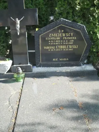 Zdjęcie grobu 20/100