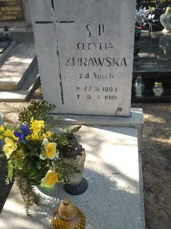 Zdjęcie grobu 35/196