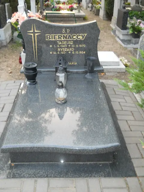 Zdjęcie grobu 13/29011