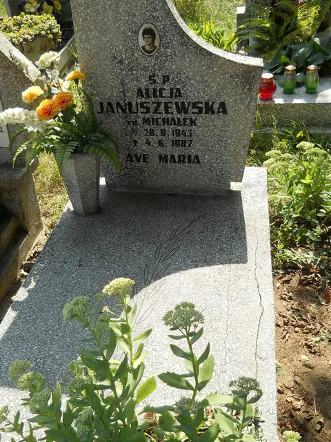 Zdjęcie grobu 18/28346