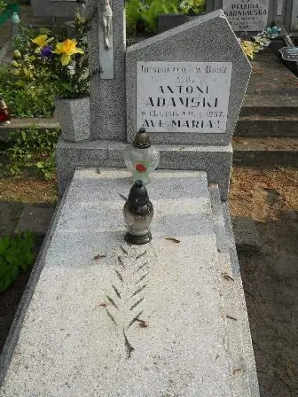 Zdjęcie grobu 33/378