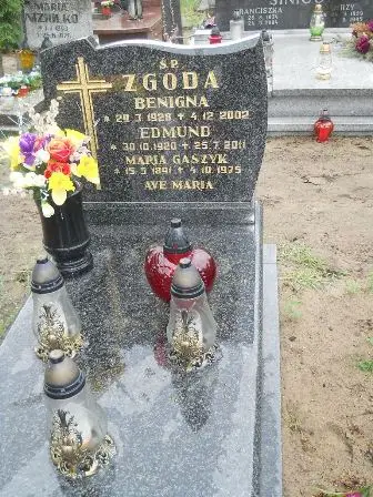 Zdjęcie grobu 36/100