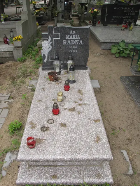 Zdjęcie grobu 12/29341