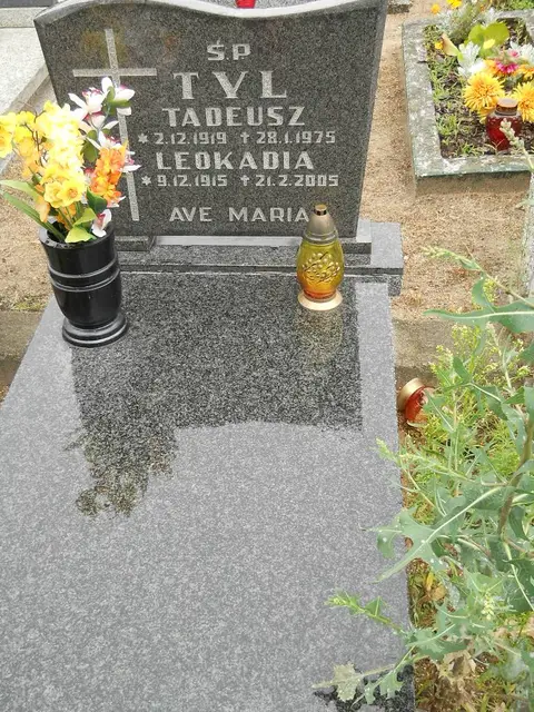 Zdjęcie grobu 5/22486