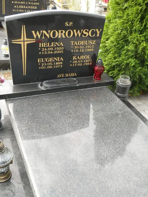 Zdjęcie grobu 11/29146