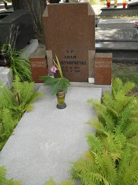 Zdjęcie grobu 6/24298