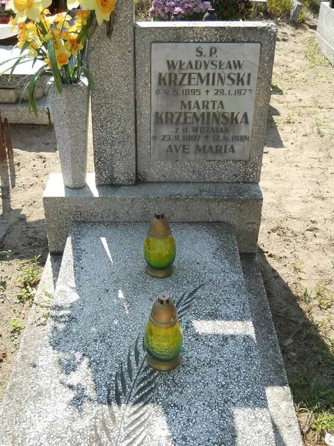 Zdjęcie grobu 14/27253