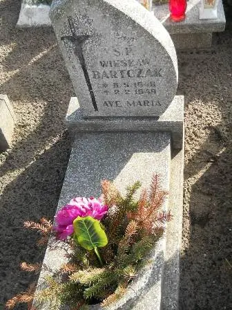 Zdjęcie grobu 100/100