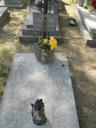 Zdjęcie grobu 11/100