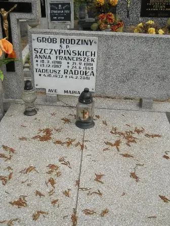 Zdjęcie grobu 33/337,338