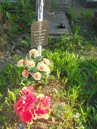 Zdjęcie grobu 7b/176